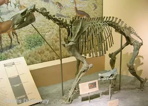 شکافته ددیان